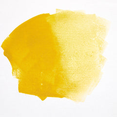 Aquarylic Color - Mustard Yellow