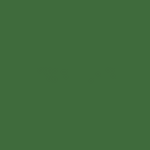 Efeu (Farbfeld)