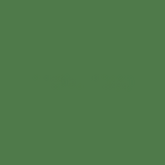 Farn (Farbfeld)