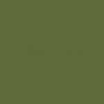 Moos (Farbfeld)
