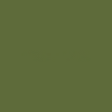 Moos (Farbfeld)