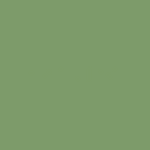 Seegras (Farbfeld)