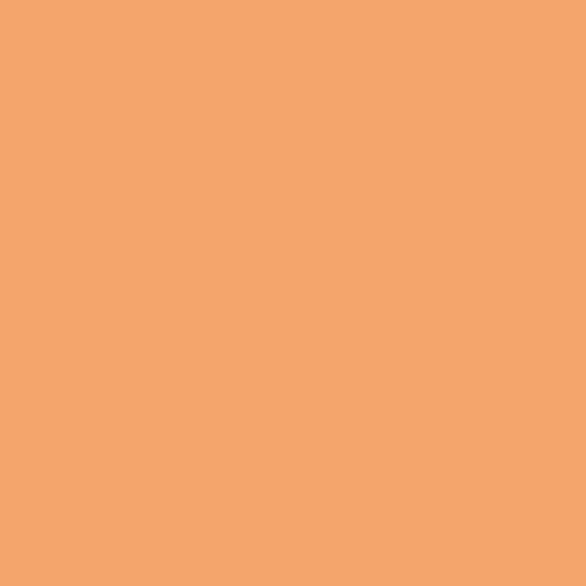 Melone (Farbfeld)
